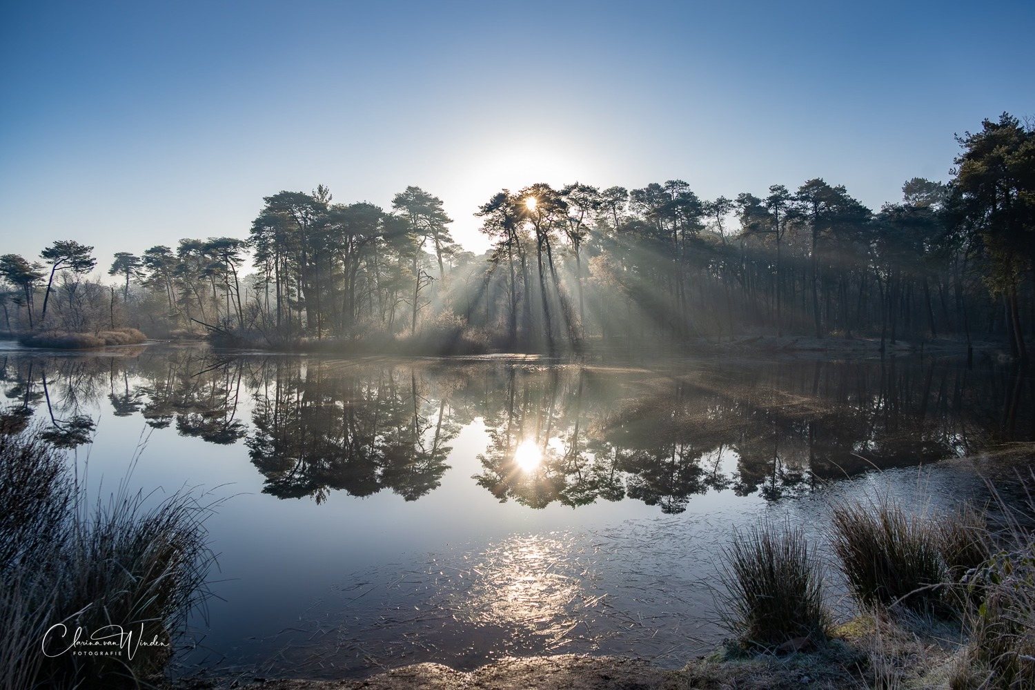 Winterzon door de bomen, weerfoto door Clarina van Winden (januari)
