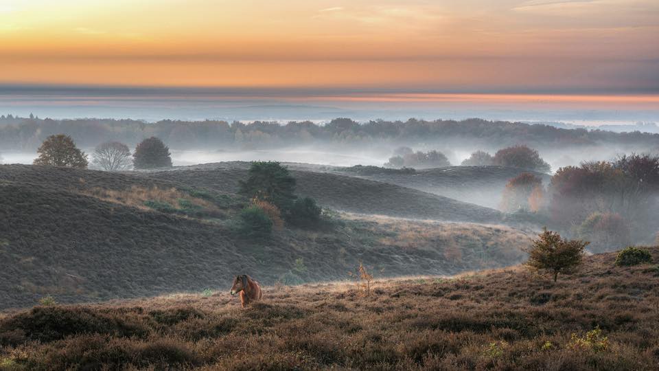 Mist over de heide, weerfoto door Floris Scheerder (november)