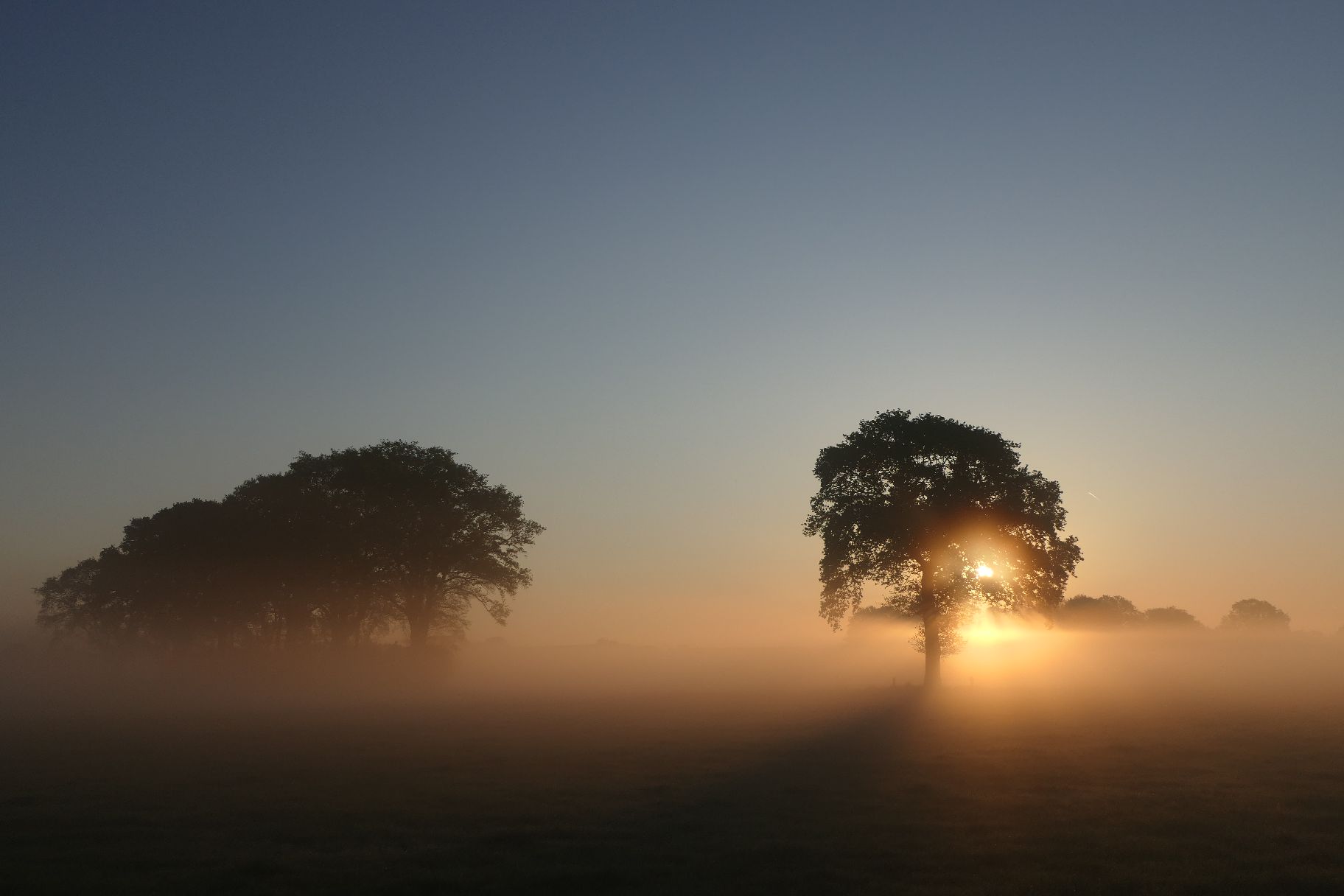 Ochtendmist op zijn mooist, weerfoto door Gerlinde ten Bolscher (april)