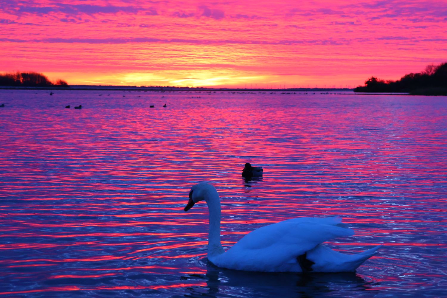 Vuurrode avond aan de plas, weerfoto door Marja Boogaard-Raymakers (november)