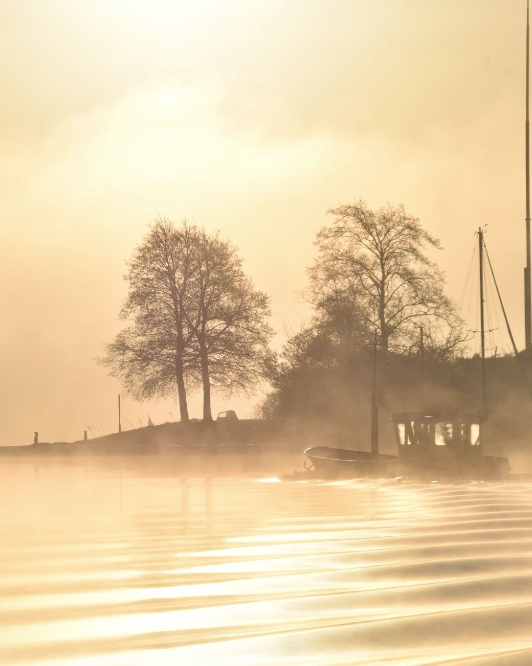 Gouden mist boven de rivier, weerfoto door Mathilde te Lintelo (maart)