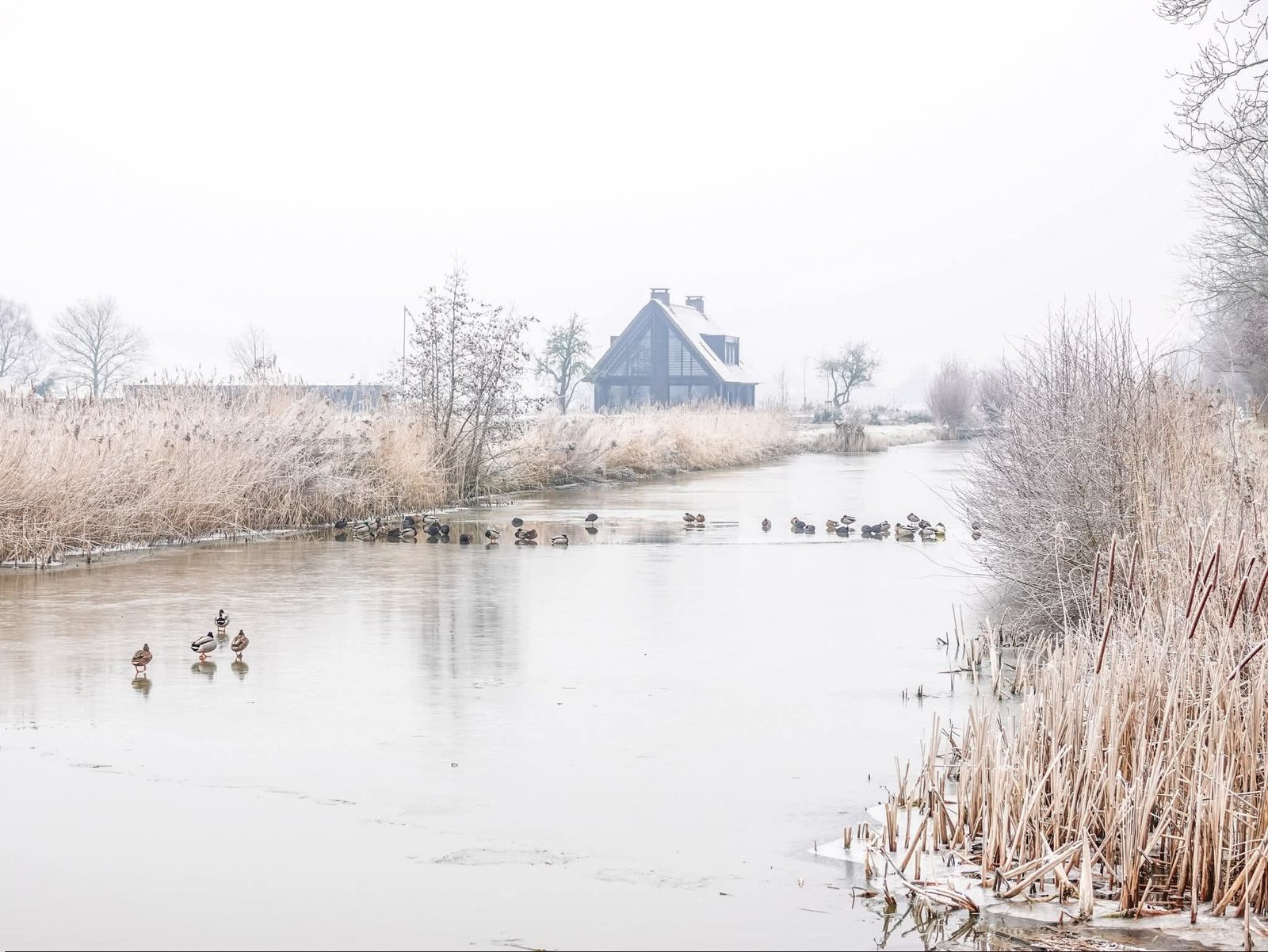Sneeuw langs de vaart, weerfoto door Mia Goodijk-Zuidema (februari)