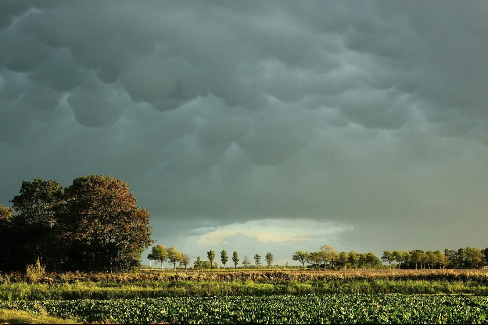 Mammatus na de bui, weerfoto door Mia Goodijk-Zuidema (september)