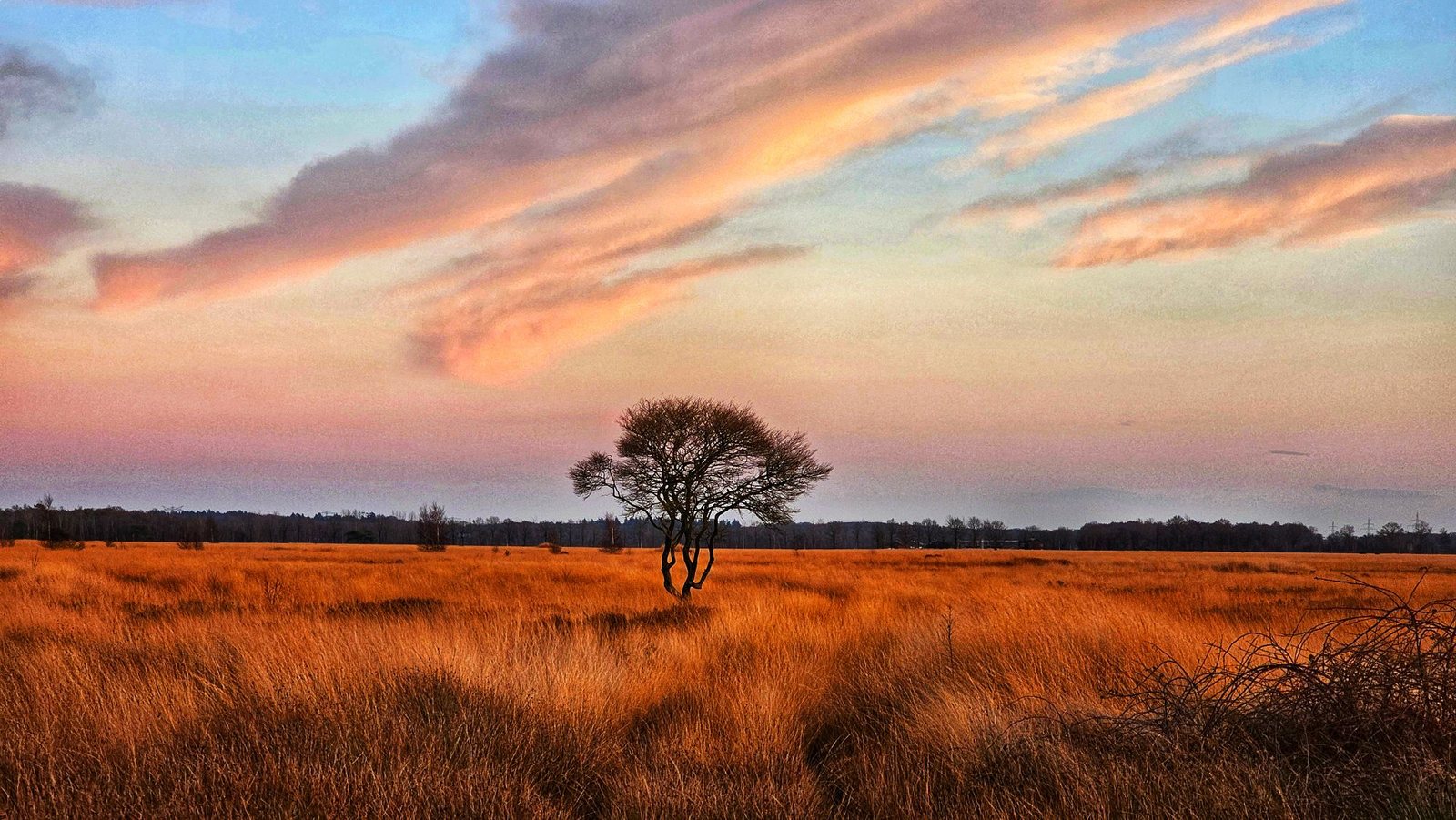 Avondrood boven de heide, weerfoto door Roelie van der Vegt (oktober)