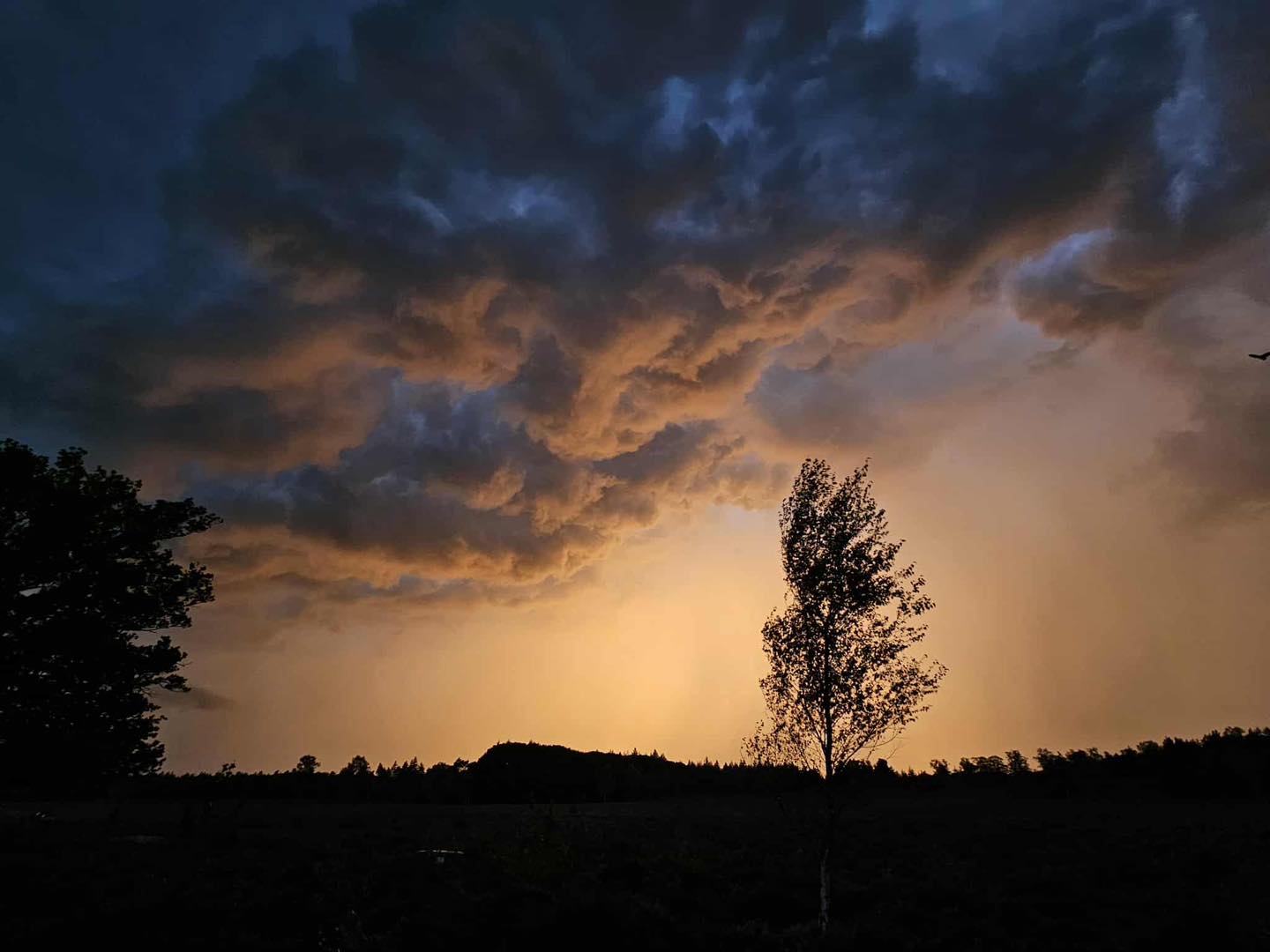Dreigende avond, weerfoto door Vibeke Allema (september)